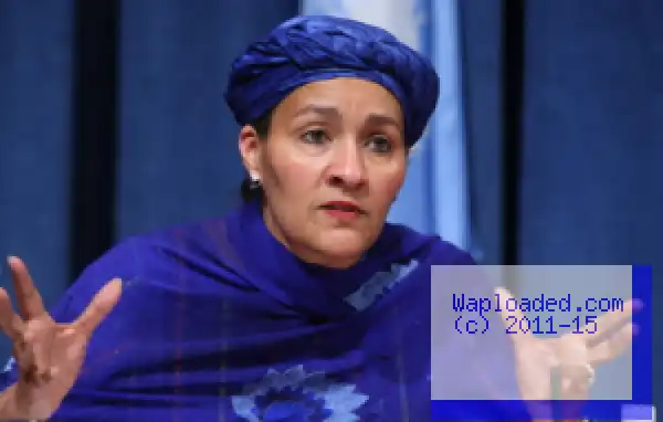 FG Targets 13000MW Solar Electricity - Minister